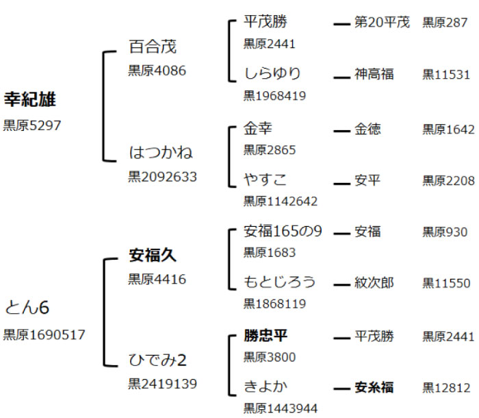 紀久6