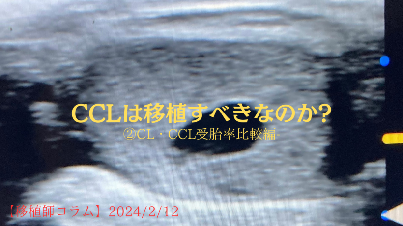 CCL(嚢種様黄体)は移植すべきか？-②CL・CCL受胎率比較編-