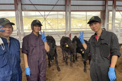 【酒田牧場プロジェクト】肉牛牧場スタッフ（子牛育成）