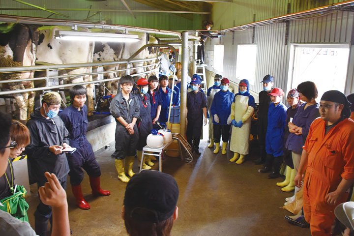 Dairy business | Nobels Group